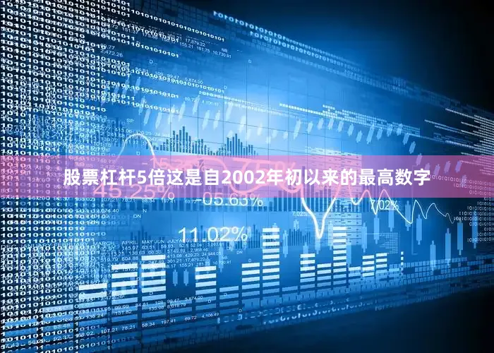 股票杠杆5倍这是自2002年初以来的最高数字