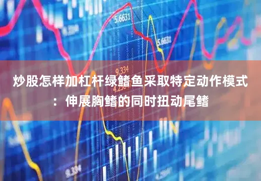 炒股怎样加杠杆绿鳍鱼采取特定动作模式：伸展胸鳍的同时扭动尾鳍