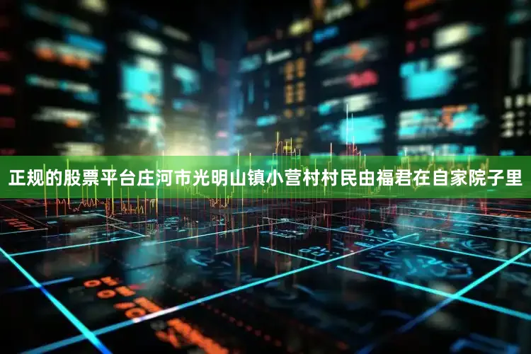 正规的股票平台庄河市光明山镇小营村村民由福君在自家院子里