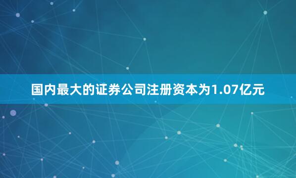 国内最大的证券公司注册资本为1.07亿元