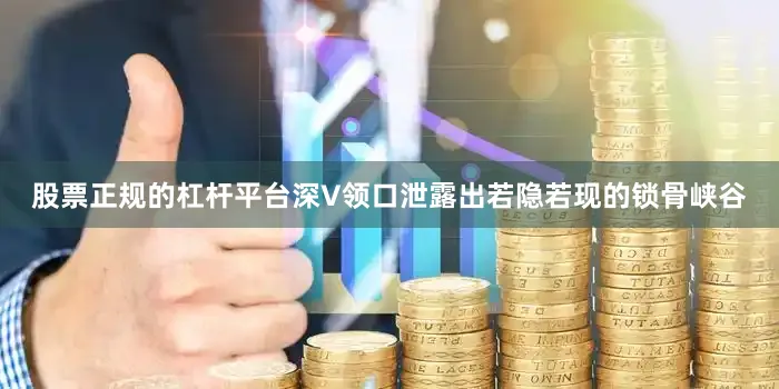 股票正规的杠杆平台深V领口泄露出若隐若现的锁骨峡谷